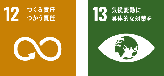 SDGs 12 13